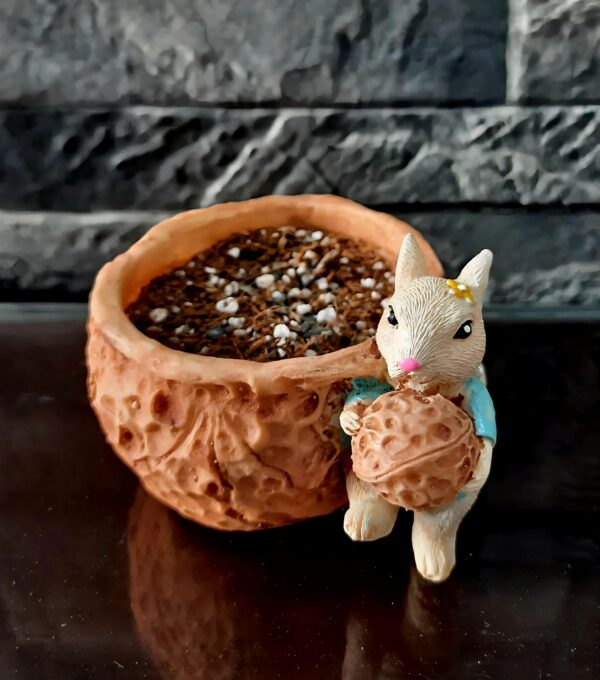 Handcrafted Squirrel Planter with Faux (12cm*8cm) - Image 2