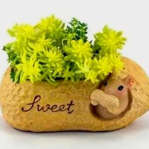 Handcrafted "Sweet" Squirrel Planter in Peanut Shell (11*6) cm