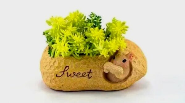 Handcrafted "Sweet" Squirrel Planter in Peanut Shell (11*6) cm