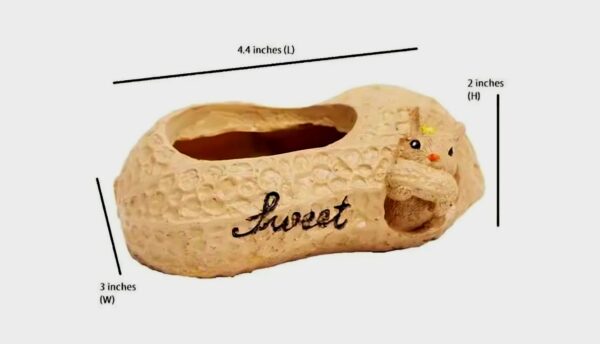Handcrafted "Sweet" Squirrel Planter in Peanut Shell (11*6) cm - Image 2