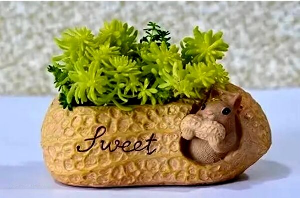 Handcrafted "Sweet" Squirrel Planter in Peanut Shell (11*6) cm - Image 3